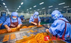 西平县俏嘴巴：休闲食物加工产销旺